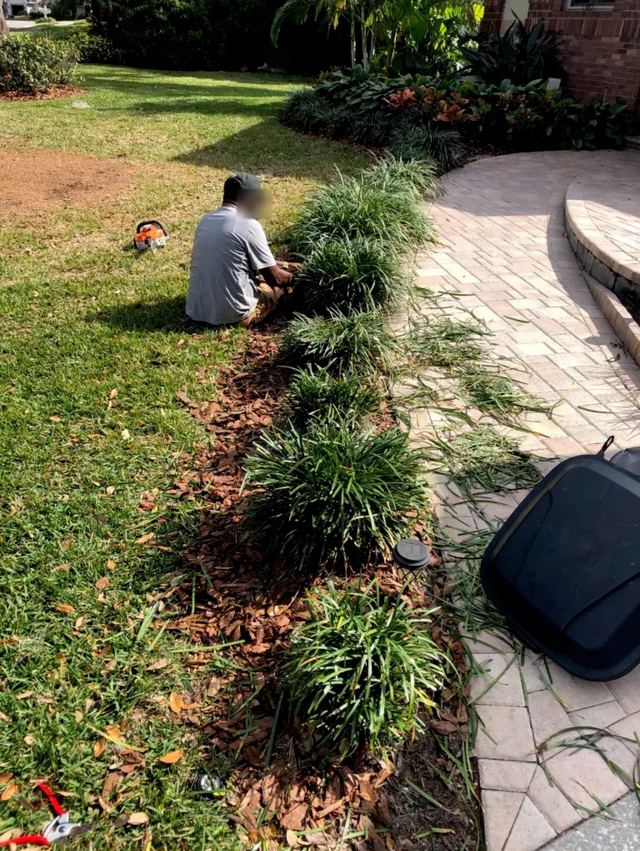 Crew member planting a border of grassy plants along a brick paver walkway