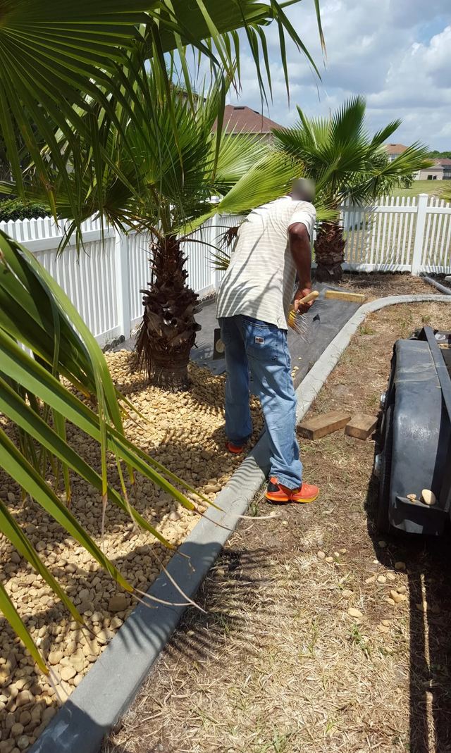 Crew member working on landscape fabric in a river rock bed of fan palms, with concrete curb edging, along a white vinyl fence