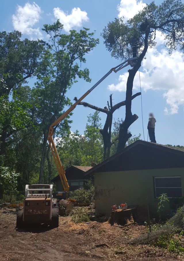 Crew member on a roof and a yellow lift reaching a dead tree behind a house