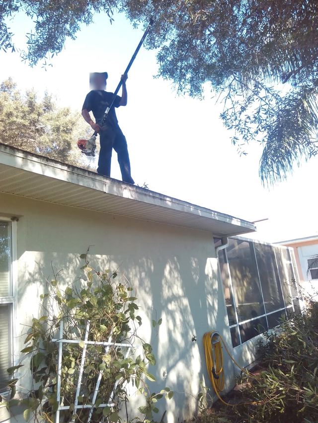 Crew member standing on a roof, using a pole saw to cut back overhanging branches