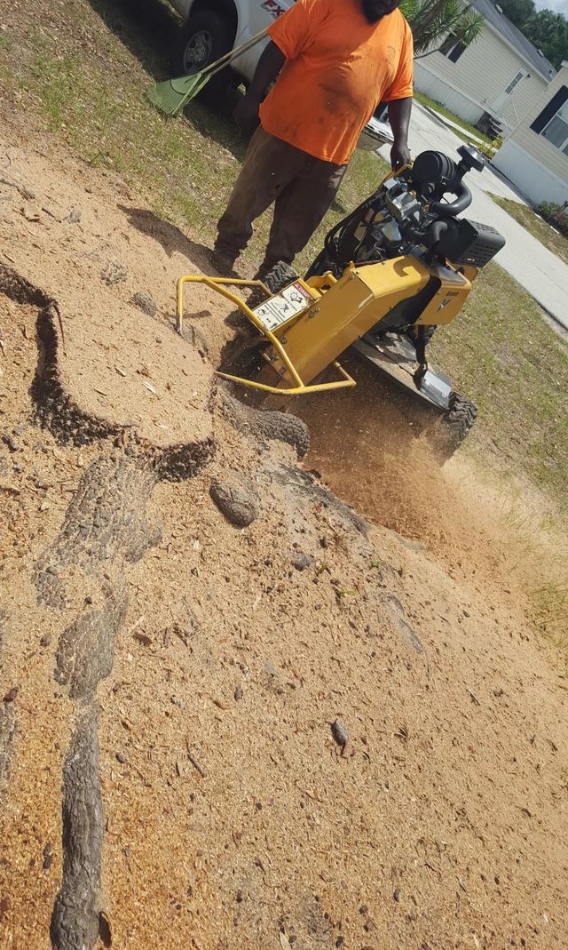 Crew member running a stump grinder, with wood chips spraying from the cut