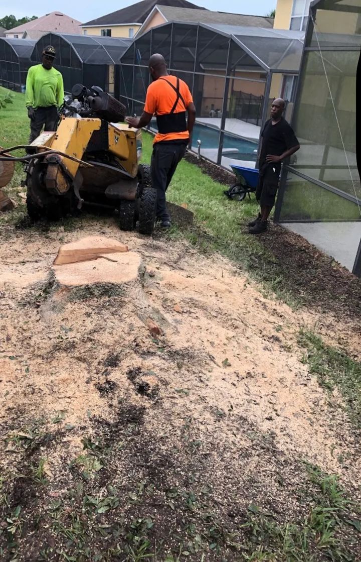 Three crew members grinding a stump in a backyard next to a screened pool enclosure